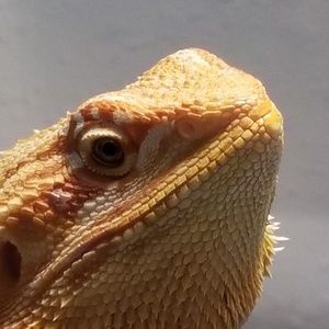 Meet your Posher, Hollyn